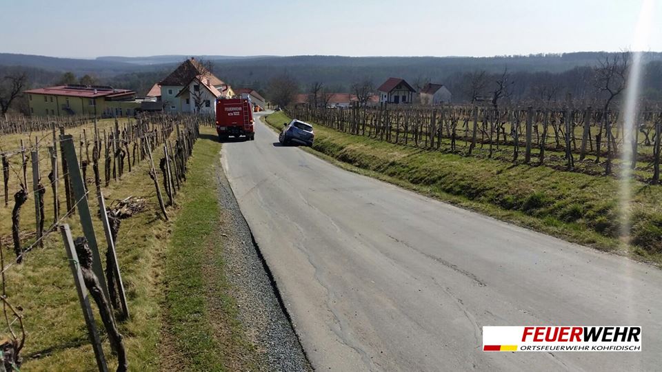 17361693 282006635567242 9209413213190660481 n