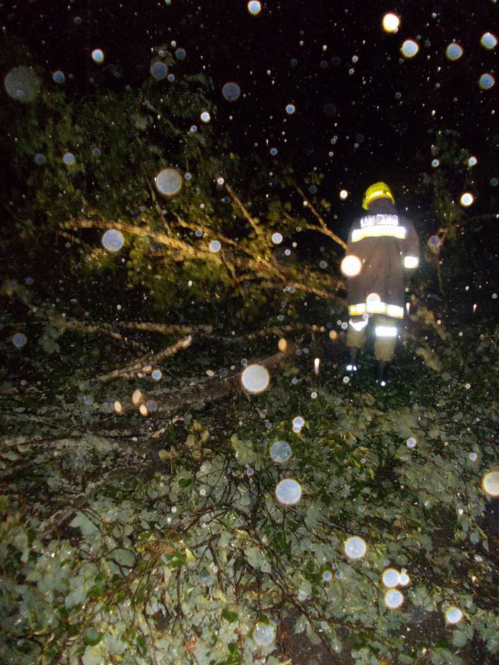 20621752 344197996014772 3503077897867099744 n