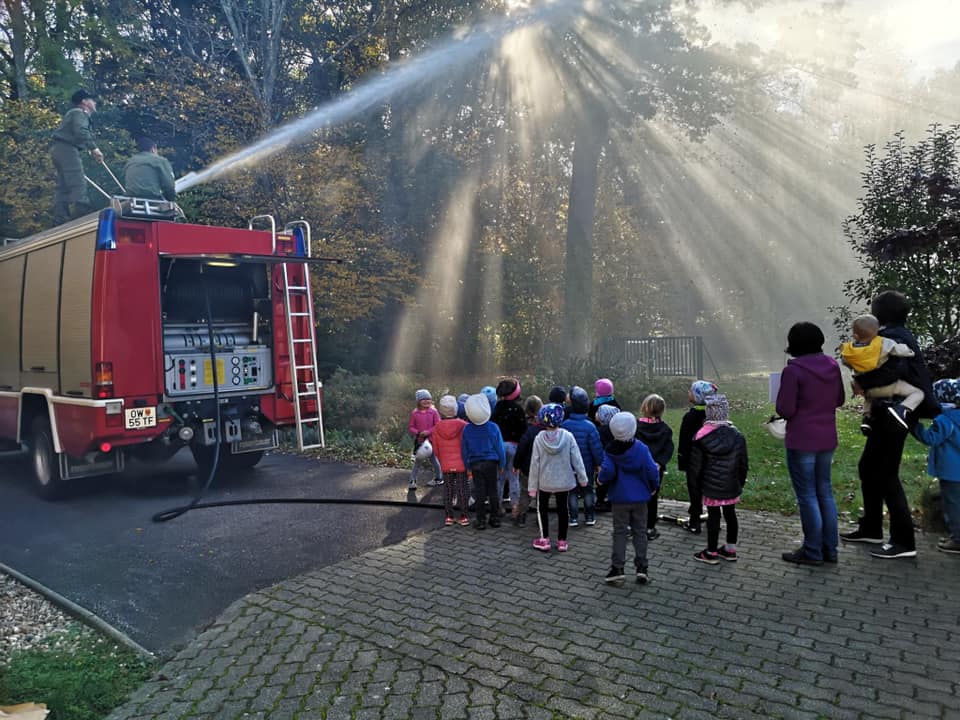 74620911 770325656735335 1044210578060476416 n