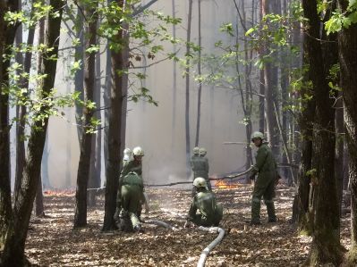 Waldbrand Badersdorf