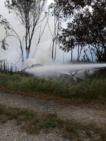 Waldbrand Kohfidisch