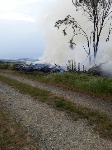 Waldbrand Kohfidisch