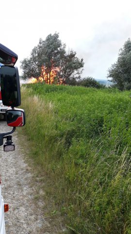 Waldbrand Kohfidisch