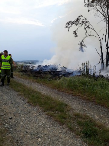 Waldbrand Kohfidisch