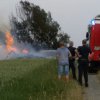 Waldbrand Kohfidisch