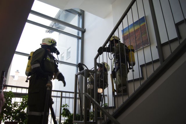 2014 Übung Pro Mente