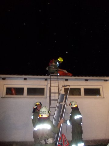 2014 Personenrettung Leitereinsatz