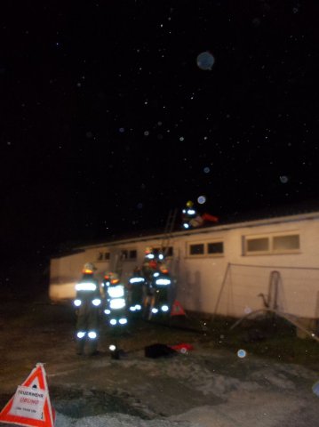 2014 Personenrettung Leitereinsatz