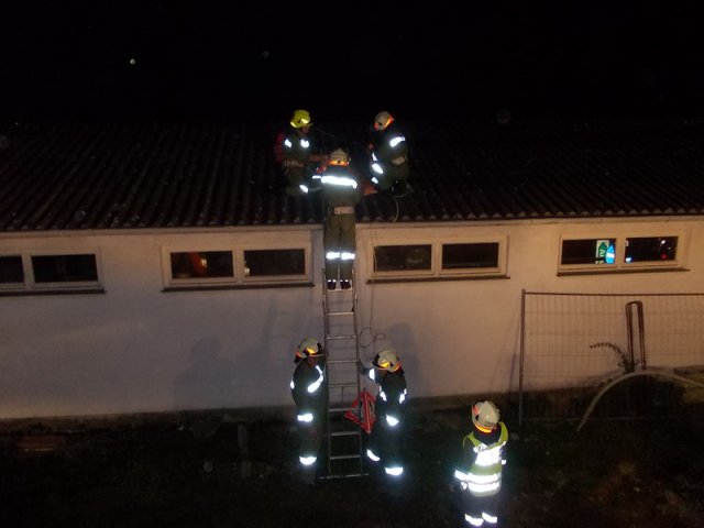 2014 Personenrettung Leitereinsatz