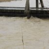2013_Hochwasser